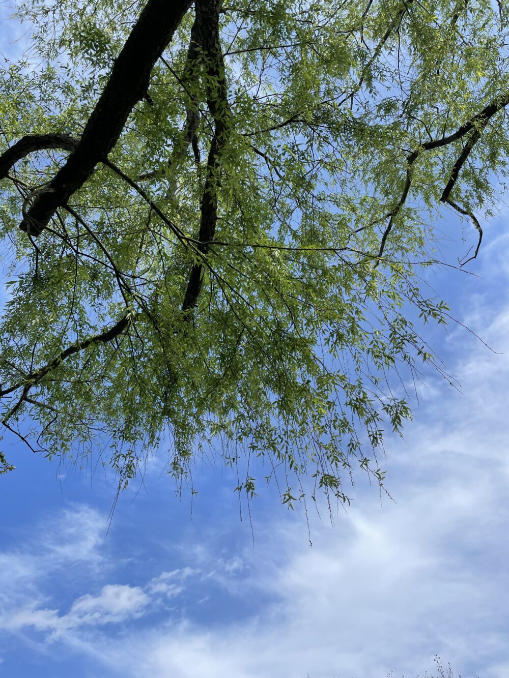 ４月の空